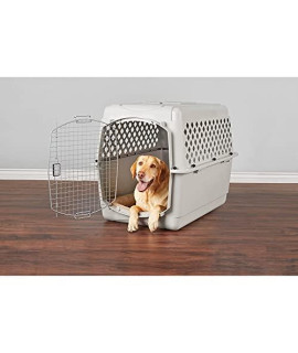 Petco Brand - EveryYay Going Places Pet Kennel, 40" L, Large