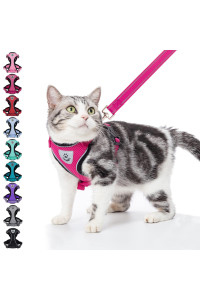 Pupteck Cat Harness And Leash Set- Adjustable Vest Escape Proof Harness For Kitten Small Medium Cats, Retractable Breathable Soft Mesh For Outside With Reflective Strips
