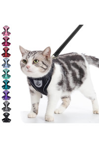 Pupteck Cat Harness And Leash Set- Adjustable Vest Escape Proof Harness For Kitten Small Medium Cats, Retractable Breathable Soft Mesh For Outside With Reflective Strips