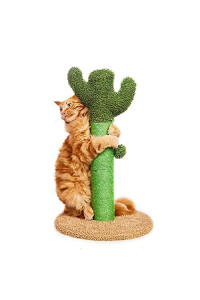 Cat Scratching Post 25.6 Cactus Cat Post Cat Scratcher with Cat Ball Toy for Kittens and Small Cats -Yellow