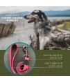 Wilderdog Waterproof Dog Leash - Repels Water & Dirt - 6ft - Plum - 1Ct