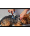 SCAREDY CUT Silent Pet Grooming Kit for Dog, Cat and All Pet Grooming - A Quiet Alternative to Electric Clippers for Sensitive Pets (Left-Handed Blue)