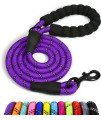Taglory Rope Dog Leash 6 Ft With Comfortable Padded Handle, Highly Reflective Threads Dog Leash For Large Dogs, 12 Inch, Purple