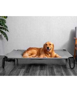 BestVida Elevated Dog Bed (Large, Grey)