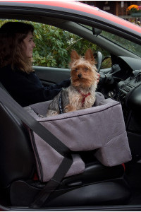 Pet Gear Lookout Booster Car Seat, Removable Comfort Pillow, Safety Tether Included, Installs in Seconds, No Tools Required, 3 Colors
