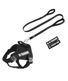Dog Harnesses and Leash with Handle No-Pull Pet Vest Set Reflective Adjustable Non Choke for Small Medium & Large Dogs Training, Walking, Running, Adventuring, with Hook Locks for Extra Safety M