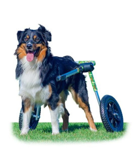 Walkin' Wheels Custom Dog Wheelchair for Med/Large Dogs | Veterinarian Approved | Dog Wheelchair for Back Legs | Choose from 3 Custom Colors: Blue, Pink, and Camo