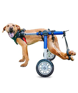 Walkin' Wheels Custom Dog Wheelchair for Medium Dogs | Veterinarian Approved | Dog Wheelchair for Back Legs | Choose from 3 Custom Colors: Blue, Pink, and Camo