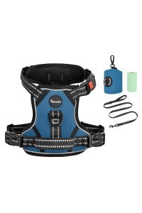 Petmolico No Pull Dog Harness Set, 2 Leash Attchment Easy Control Handle Reflective Vest Dog Harness Small Breed, Small Dogs Harness And Leash Set With Poop Bag Holder, Small Deep Teal