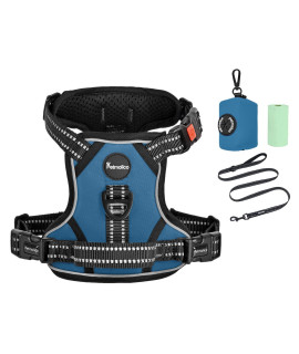Petmolico No Pull Dog Harness Set, 2 Leash Attchment Easy Control Handle Reflective Vest Dog Harness Small Breed, Small Dogs Harness And Leash Set With Poop Bag Holder, Small Deep Teal