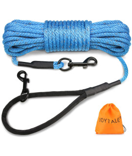 Joytale Long Dog Training Leash, 33 Ft Tie Out Rope Check Cord Dogs Leashes With Padded Handle, Reflective Recall Lead For Puppy And Small Dogs, Blue