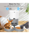 ALUKE Cat Feeder, Automatic Cat Feeder for Double Pets, Pet Feeder Dog Food Dispenser with Splitter & Double Bowls, 6 Meal Portion Control, Programmable Timer Feeder, Customizable Voice Recorder