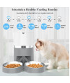 ALUKE Cat Feeder, Automatic Cat Feeder for Double Pets, Pet Feeder Dog Food Dispenser with Splitter & Double Bowls, 6 Meal Portion Control, Programmable Timer Feeder, Customizable Voice Recorder
