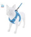 Voyager Step-in Air All Weather Mesh Harness and Reflective Dog 5 ft Leash Combo with Neoprene Handle, for Small, Medium and Large Breed Puppies by Best Pet Supplies - Blue, XX-Small