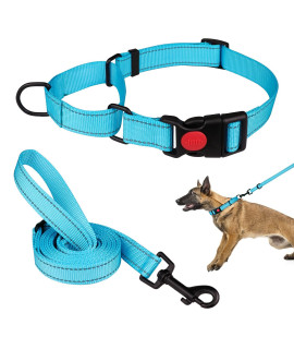 Martingale Dog Collar And Leash Set Martingale Collars For Dogs Reflective Martingale Collar For Small Medium Large Dogs(Sky Bluel)