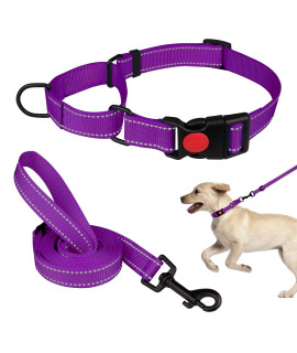 Martingale Dog Collar And Leash Set Martingale Collars For Dogs Reflective Martingale Collar For Small Medium Large Dogs(Purplem)