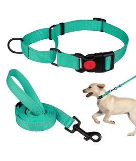 Martingale Dog Collar And Leash Set Martingale Collars For Dogs Reflective Martingale Collar For Small Medium Large Dogs(Mint Greens)