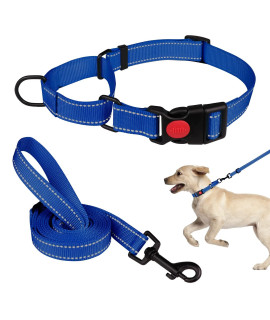 Martingale Dog Collar And Leash Set Martingale Collars For Dogs Reflective Martingale Collar For Small Medium Large Dogs(Bluem)