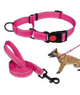 Martingale Dog Collar And Leash Set Martingale Collars For Dogs Reflective Martingale Collar For Small Medium Large Dogs(Hot Pinkl)