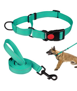 Martingale Dog Collar And Leash Set Martingale Collars For Dogs Reflective Martingale Collar For Small Medium Large Dogs(Mint Greenl)