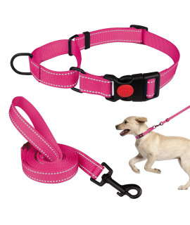 Martingale Dog Collar And Leash Set Martingale Collars For Dogs Reflective Martingale Collar For Small Medium Large Dogs(Hot Pinks)