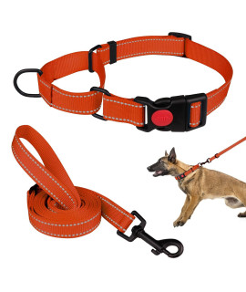 Martingale Dog Collar And Leash Set Martingale Collars For Dogs Reflective Martingale Collar For Small Medium Large Dogs(Orangel)