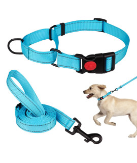 Martingale Dog Collar And Leash Set Martingale Collars For Dogs Reflective Martingale Collar For Small Medium Large Dogs(Sky Bluem)