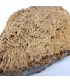 Lifegard Burma Petrified Aquarium Stone Medium Size Stone 42 Lbs Case Qty