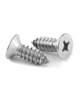 6 x 12 Wood Screw 100Pcs 18-8 (304) Stainless Steel Screws Flat Head Phillips Fast Self Tapping Drywall Screws by Sg TZH