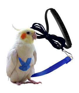 Dnoifne Pet Parrot Bird Harness and Leash, Adjustable Training Design Anti-Bite, Bird Nylon Rope with cute Wing for Parrots, Suitable for Alexandrine, Scarlet, Keck, Mini Macaw Same Size Bird (blue)