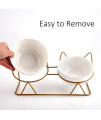 Trosetry Cat Bowls, Double Ceramic Pet Bowls with 15