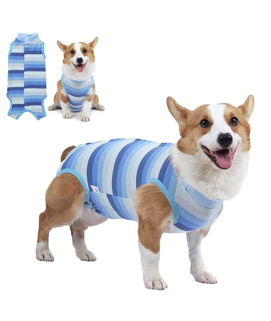 Coppthinktu Dog Recovery Suit For Abdominal Wounds Or Skin Diseases, Breathable Dog Surgery Recovery Suit For Dogs, E-Collar Alternative After Surgery Wear Anti Licking Wounds (Blue Xl)