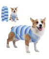 Coppthinktu Dog Recovery Suit For Abdominal Wounds Or Skin Diseases, Breathable Dog Surgery Recovery Suit For Dogs, E-Collar Alternative After Surgery Wear Anti Licking Wounds (Blue L)