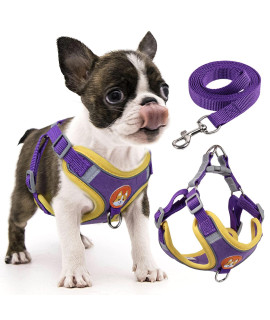 rennaio Dog Harness No Pull, Adjustable Puppy Harness with 2 Leash Clips, Ultra Comfort Padded Dog Vest Harness, Reflective Dog Harness and Leash Set for Small and Medium Dogs (Purple, S)