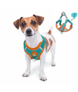 rennaio Dog Harness No Pull, Adjustable Puppy Harness with 2 Leash Clips, Ultra Comfort Padded Dog Vest Harness, Reflective Dog Harness and Leash Set for Small and Medium Dogs (Vibrant Blue, M)