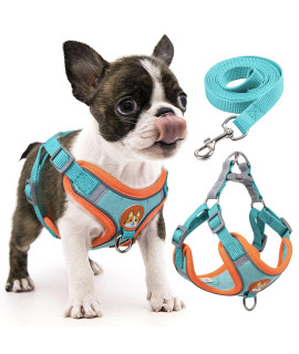 rennaio Dog Harness No Pull, Adjustable Puppy Harness with 2 Leash Clips, Ultra Comfort Padded Dog Vest Harness, Reflective Dog Harness and Leash Set for Small and Medium Dogs (Vibrant Blue, S)