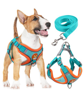 rennaio Dog Harness No Pull, Adjustable Puppy Harness with 2 Leash clips, Ultra comfort Padded Dog Vest Harness, Reflective Dog Harness and Leash Set for Small and Medium Dogs (Vibrant Blue, XL)