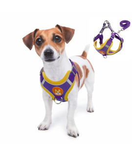 rennaio Dog Harness No Pull, Adjustable Puppy Harness with 2 Leash Clips, Ultra Comfort Padded Dog Vest Harness, Reflective Dog Harness and Leash Set for Small and Medium Dogs (Purple, M)