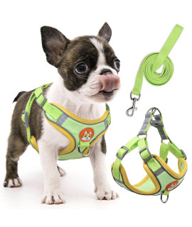 rennaio Dog Harness No Pull, Adjustable Puppy Harness with 2 Leash Clips, Ultra Comfort Padded Dog Vest Harness, Reflective Dog Harness and Leash Set for Small and Medium Dogs (Green, S)