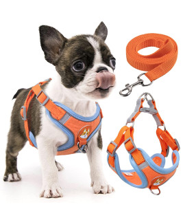 rennaio Dog Harness No Pull, Adjustable Puppy Harness with 2 Leash Clips, Ultra Comfort Padded Dog Vest Harness, Reflective Dog Harness and Leash Set for Small and Medium Dogs (Orange, S)