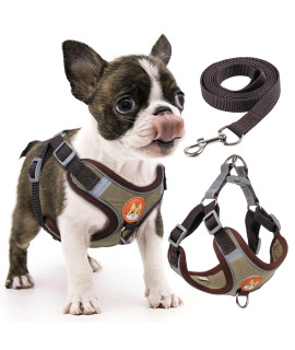 rennaio Dog Harness No Pull, Adjustable Puppy Harness with 2 Leash Clips, Ultra Comfort Padded Dog Vest Harness, Reflective Dog Harness and Leash Set for Small and Medium Dogs (Brown, S)