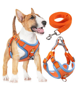 rennaio Dog Harness No Pull, Adjustable Puppy Harness with 2 Leash clips, Ultra comfort Padded Dog Vest Harness, Reflective Dog Harness and Leash Set for Small and Medium Dogs (Orange, XL)