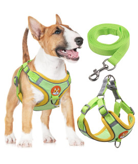 rennaio Dog Harness No Pull, Adjustable Puppy Harness with 2 Leash clips, Ultra comfort Padded Dog Vest Harness, Reflective Dog Harness and Leash Set for Small and Medium Dogs (green, XL)