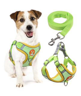 rennaio Dog Harness No Pull, Adjustable Puppy Harness with 2 Leash clips, Ultra comfort Padded Dog Vest Harness, Reflective Dog Harness and Leash Set for Small and Medium Dogs (green, L)