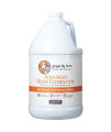 Ginger Lily Farms Dog & Pet Formula Advanced Odor Eliminator, Professional Strength, Fresh All-Natural Citrus, 1 Gallon Refill (128 fl oz)