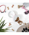 Bone Dry Ceramic Pet Collection Chevron, Medium Set, 6x2, Pink, 2 Piece