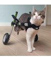 Walkin? Wheels Lightweight - for Small Cats 2 to 25 Pounds - Veterinarian Approved - Cat Wheelchair for Back Legs