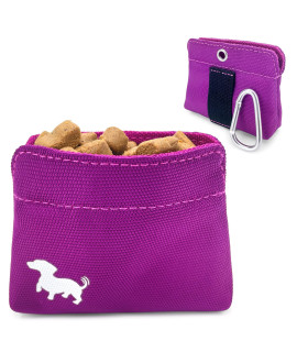 Swaggly Pocket Sized Dog Treat Pouch - Treat Pouches for Pet Training - Dog Treat Pouch Magnetic Closure - Dog Walking Accessories - Pink