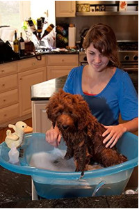 Pet Gear Pup-Tub, Bathtub for Dogs and Cats up to 20lbs, Easy Drain, Tethers Included, Ocean Blue