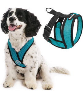 Gooby Comfort X Head in Harness - Turquoise, X-Large - No Pull Small Dog Harness, Patented Choke-Free X Frame - On The Go Dog Harness for Medium Dogs No Pull, Small Dogs for Indoor and Outdoor Use